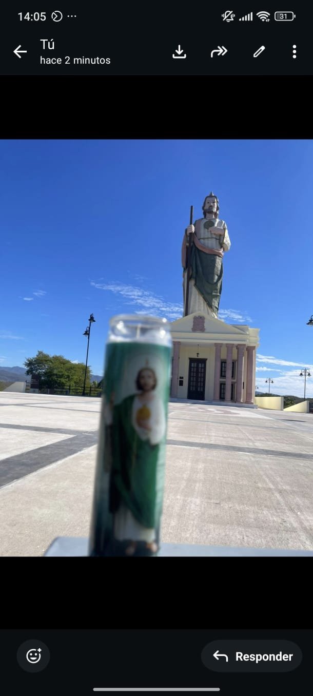 Muestra visual del acompañamiento